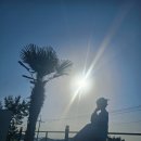 더 설렘 온수수영장펜션 이미지