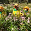 원대 수목원 이미지