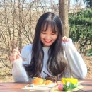 진관3리 | 파티쉐봉 스윗재이의 나무꾼 케이크 3종 세트 후기! 피크닉 케이크로도 좋아요