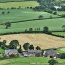 포레스트리 이미지