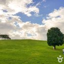 서울드림약국 이미지