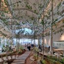 제로미카페 이미지