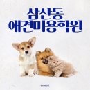 애견미용 - 중랑구 봉화산로3길 131 | 애견미용