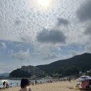 베리블라썸펜션 이미지