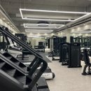 LIKE PT STUDIO 이미지