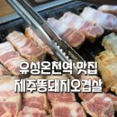 제주똥돼지오겹살 | 봉명동삼겹살 맛집 제주 똥돼지 오겹살 후기