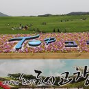 고창 학원농장의 청보리밭 축제 이미지