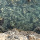 효경농장 | Good bye summer 2022.08