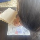 룸비니하우스 | 패러글라이딩 (BLUE SKY) 호구 잡힐 뻔한 썰 (가격, 후기) | 네덜란드 친구들과 산촌다람쥐 한식 먹고...