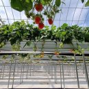 별더농장 이미지