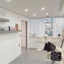프린제이