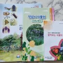향기원 풍차 네이버블로그