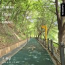 하프타임(강구점) | 여름치고 뛰기 좋았던 아침조깅 15K[뉴발란스 1080V13]