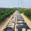 성환농약사 이미지