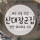 신대장군집