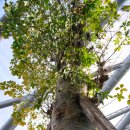 이목사거리 | 포항 환호공원 식물원 입장료와 주차장 꿀팁 솔직 방문 후기