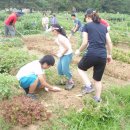 입실3리 이미지