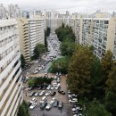 강남-286 이미지