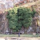 송인농장 이미지