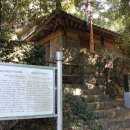 제주 납읍리 난대림 이미지