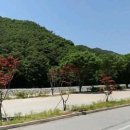 정이품송공원 화장실 이미지
