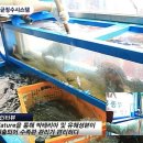 중앙수족관 - 진주시 촉석로 208 | 중앙수족관