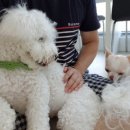 욜로호텔 이미지