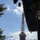 봉주르봉 이미지