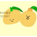 자연이 깃든 농장 이미지