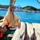 수진좌대2 이미지