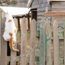 범선농장 이미지