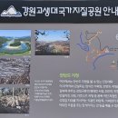 주천면-19 (주천둔치화장실) | [🏕캠핑] 강원도 영월 : 힐링인더포레스트 - 6번 (명당) 사이트 / 전체 사이트 정보 / 별 구경 맛집...