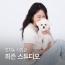 연희동 주민센터 | 연희동 사진관 희즌 스튜디오 애견동반 셀프촬영 후기