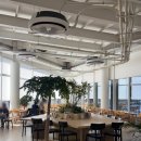 구미고등학교 | 구미 원호 문성 대형카페 오드커피 두쫀쿠 후기