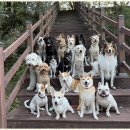 굿데이호텔 이미지