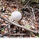 아라메길(3) 이미지