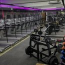 나다피트니스 이미지