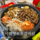 개좌로 | (금사동 맛집) 부산 돼지, 소고기 맛집 [호야막창&amp;소갈비살] 방문후기