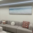 가로수길약국 | 안양 무한람스 복부 당일 리얼 후기 (지방 추출 주사)