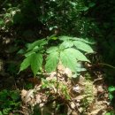 치악농장 이미지