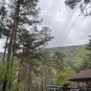 왕피천 숲속 캠핑장 | 울진계곡 숲속 프라이빗한 왕피천숲속캠핑장 C3사이트 후기