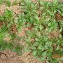 민지네 농장 이미지