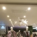 S'쏠레지아