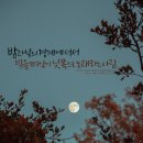 책 속 좋은 글귀 캘리그라피 이미지