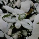 우장산근린공원 이미지
