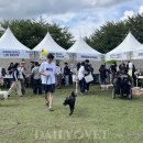 기쁜우리약국 이미지