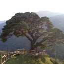 영월현대서비스 이미지