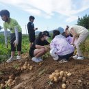 천태초등학교 이미지
