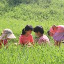 큰별자리어린이집 이미지