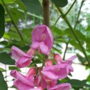 백담고을캠핑장 이미지